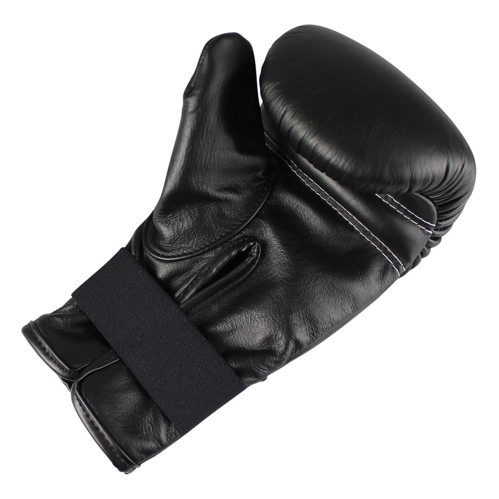 Gants de boxe Twins Special TBM 1