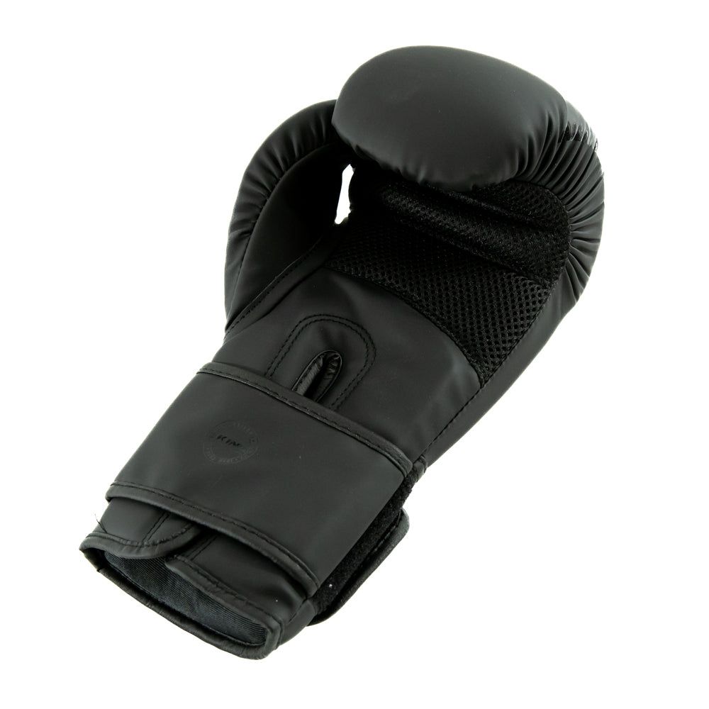 Gants de boxe King Pro Boxing BG REVO 4