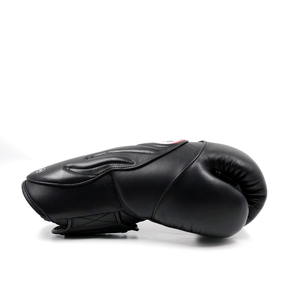 Gants de boxe Twins Special BGVL 6 Noir