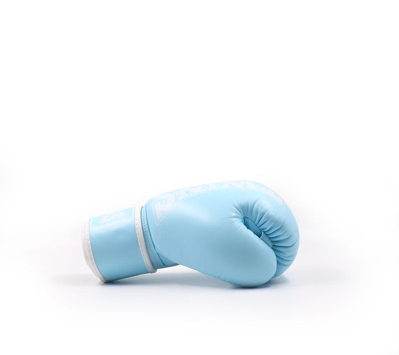 Gants de boxe Twins Special BGVL4P SKY Bleu