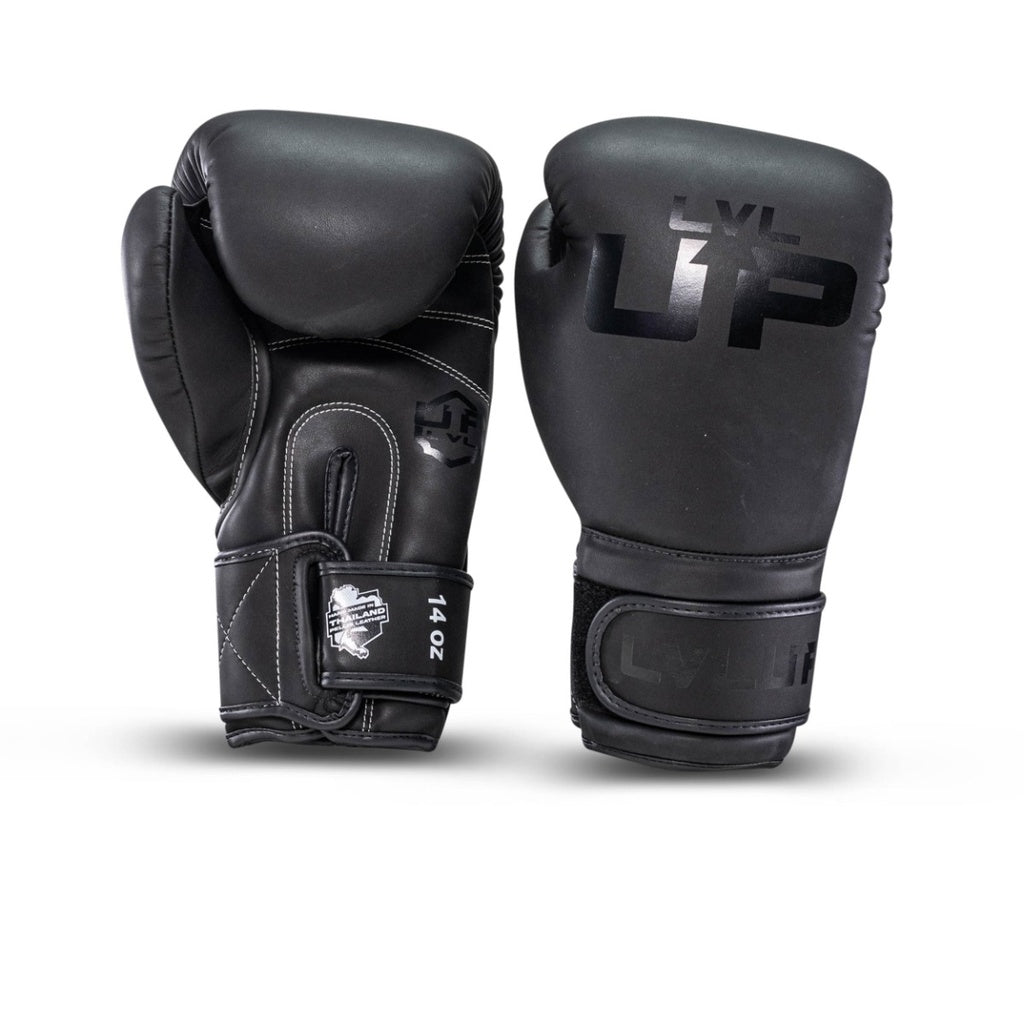 Gants de boxe LVL-UP LVL UP BG 2