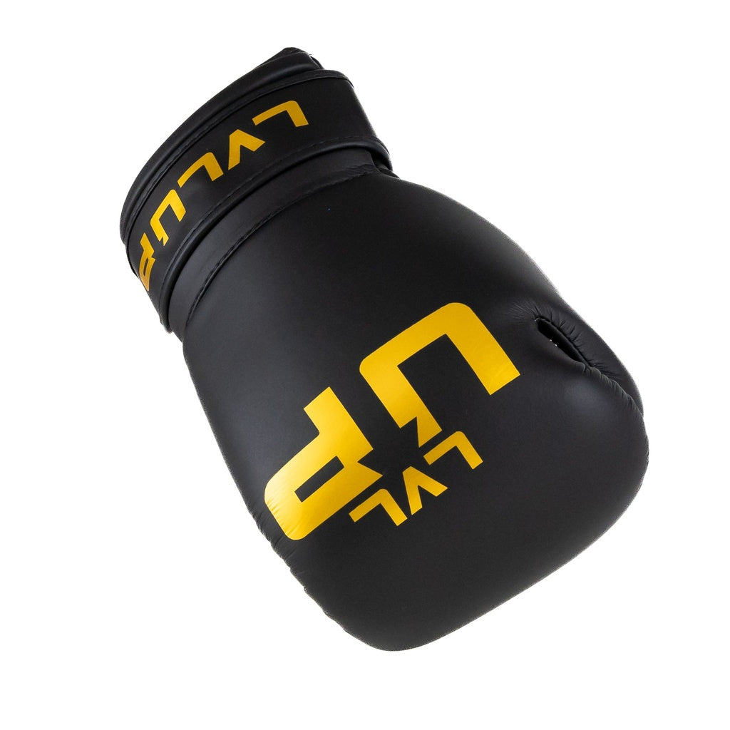 Gants de boxe LVL-UP LVL UP BG 4
