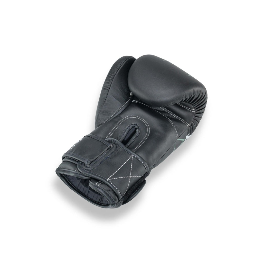 Gants de boxe Booster Fight Gear PRO BGL V10 Noir/Gris