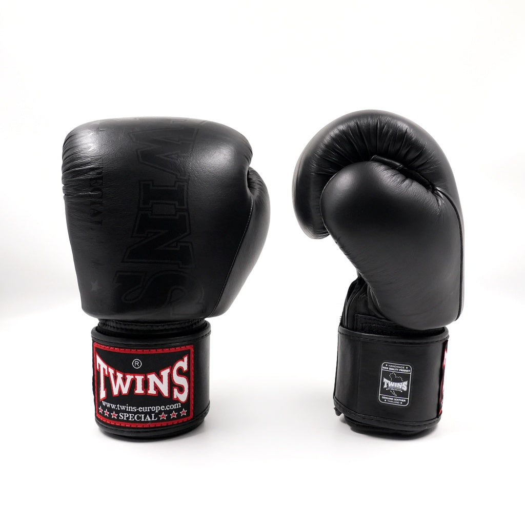 Gants de boxe Twins Special BGVL 8 CORE