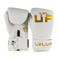 Gants de boxe LVL-UP LVL UP BG 3