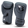 Gants de boxe Booster Fight Gear PRO BGL VX 2