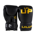Gants de boxe LVL-UP LVL UP BG 4