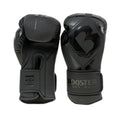 Gants de boxe Booster Fight Gear Bangkok Series 5