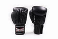 Gants de boxe Twins Special BGVL 14 Noir