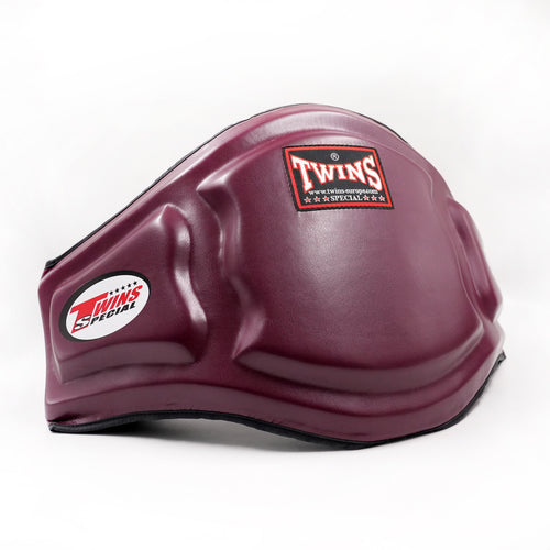 Bouclier ventral Twins Special BEPS3 Bordeaux