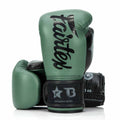 Gants de boxe Fairtex X Booster BG V2 GR/Noir/Noir