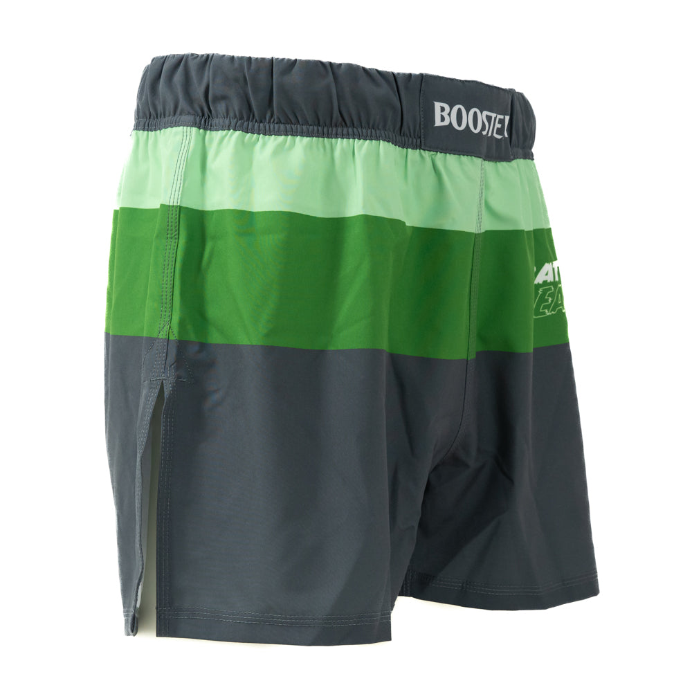 Short Booster Battle Hybrid 2, détail